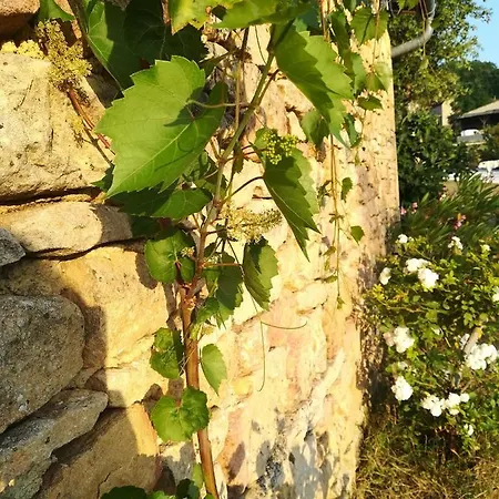 O Reve De Gabriel Bed and Breakfast