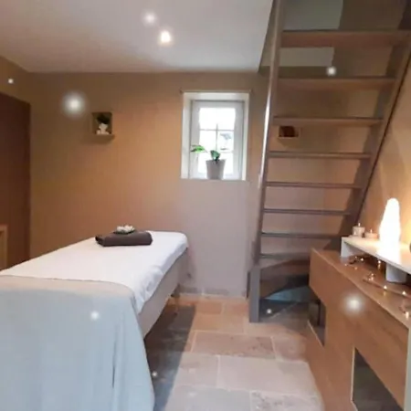 فندق مبيت وإفطار O Reve De Gabriel 3*