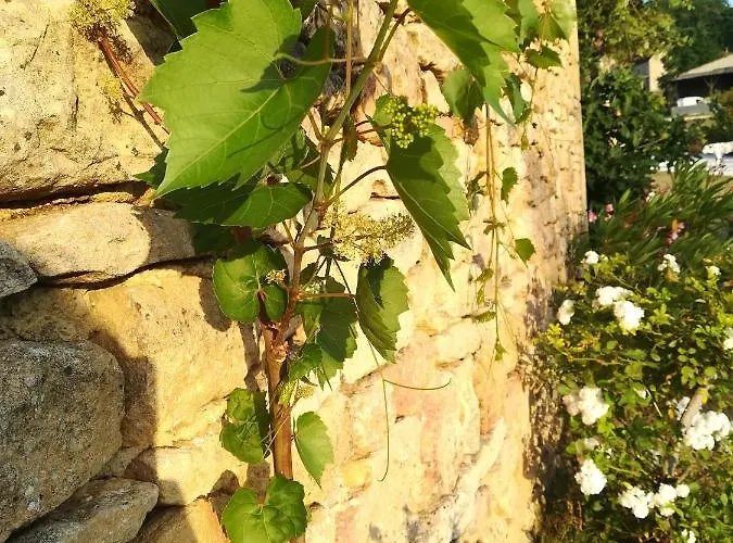 O Reve De Gabriel B&B