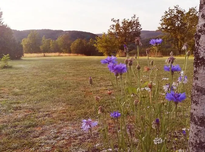 O Reve De Gabriel Saint-Amand-de-Coly