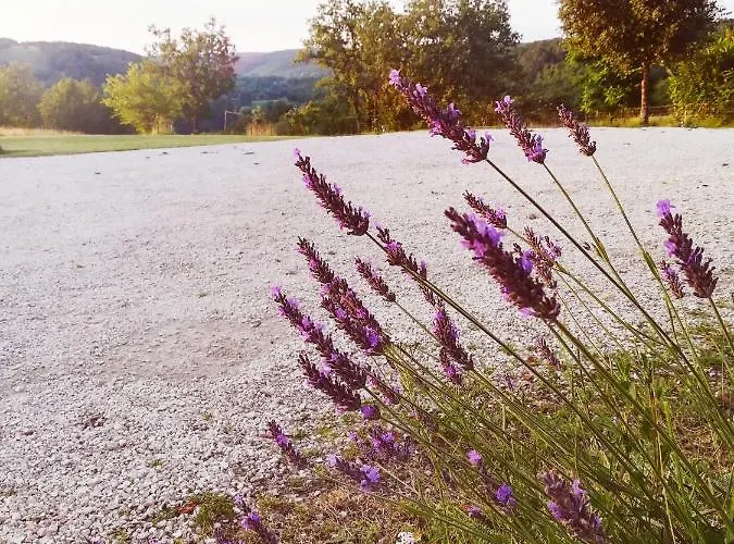 O Reve De Gabriel B&B